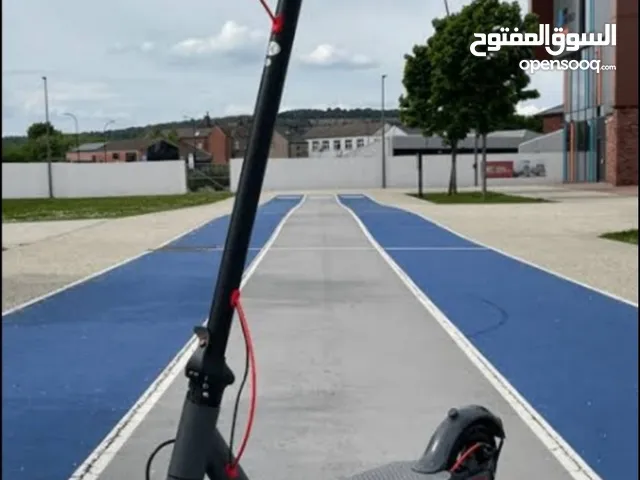 Electric Scooters