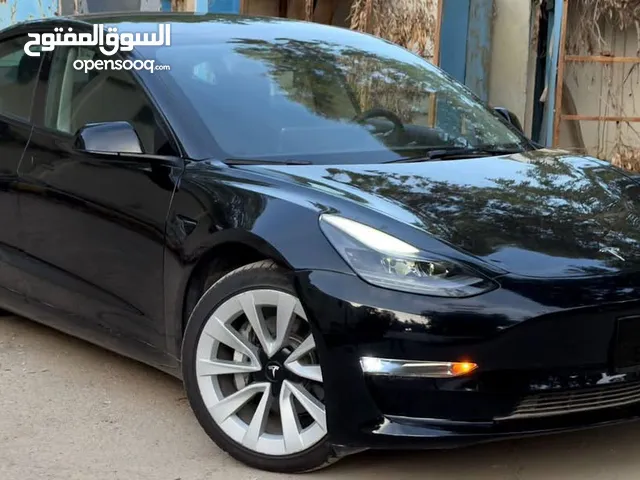Tesla Model 3 Standard Plus 2023