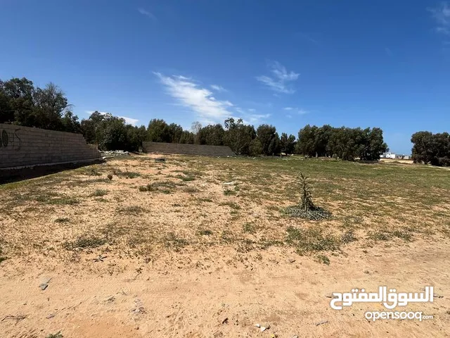Mixed Use Land for Sale in Sabratha Other