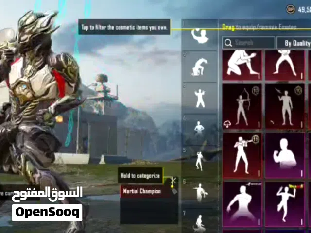 Pubg global I'd