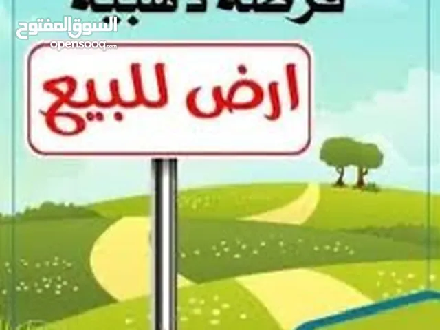 ارض طابو طلوزة للبيع فرصة العمر للاستثمار