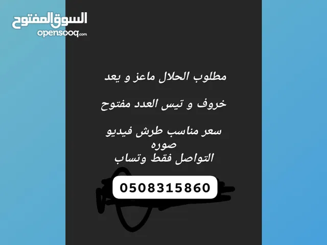 مطلوب الحلال الجمله العدد مفتوح