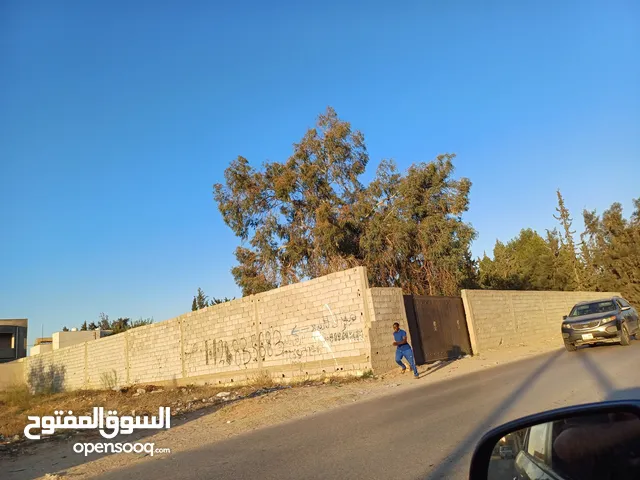 Mosque Land for Rent in Tripoli Ain Zara