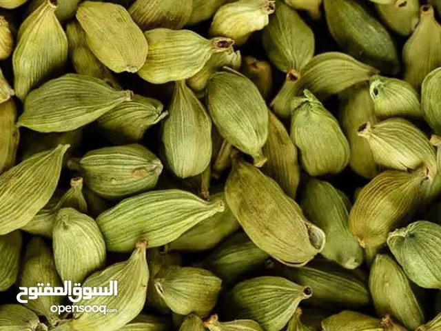 هيل من الدرجة الأولى