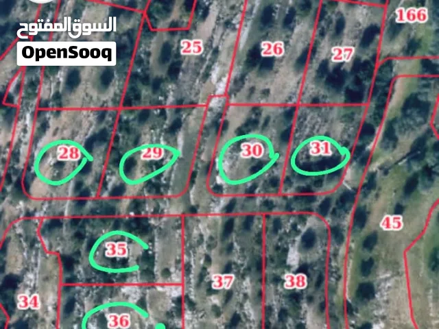 100 m2 2 Bedrooms Apartments for Rent in Ramallah and Al-Bireh Um AlSharayit