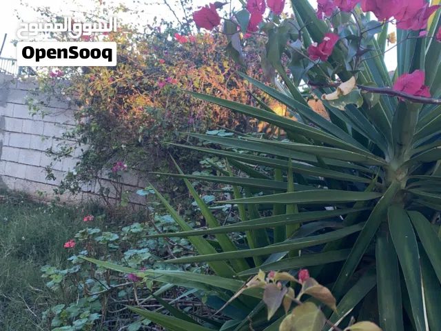 3 Bedrooms Farms for Sale in Benghazi New Benghazi