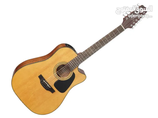 takamine 12 strings جيتار 12 وتر احترافي