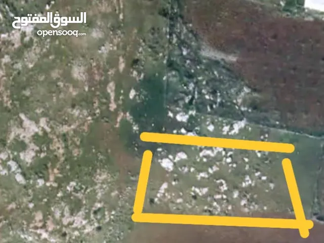 Mixed Use Land for Sale in Tubas Other