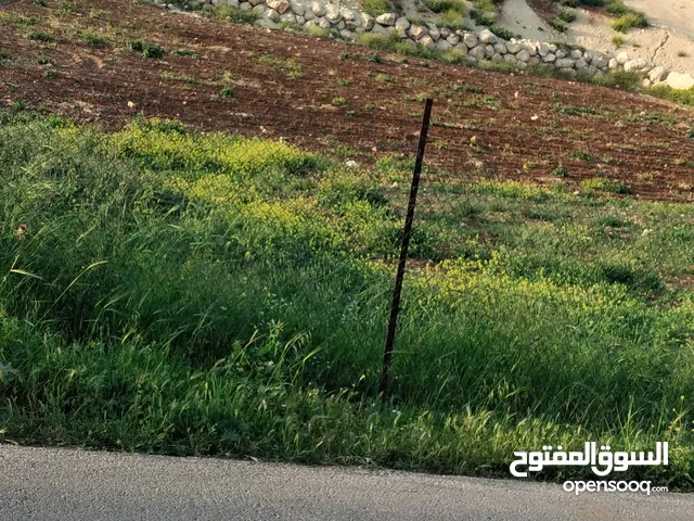 Farm Land for Sale in Salt Al Balqa'