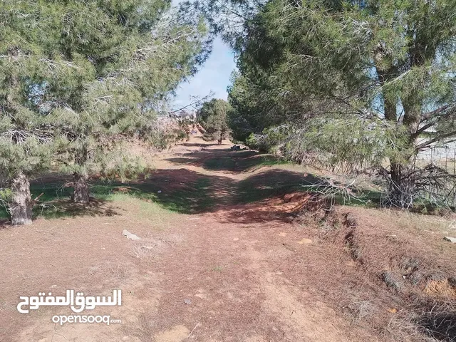 5400م.... نص هكتار و 400م للبيع واجهتين سكنيات او مزراعه أستراحه