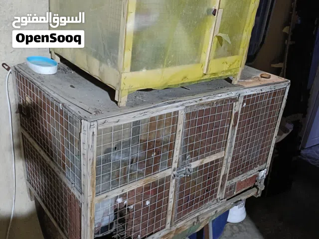 خانات للبيع