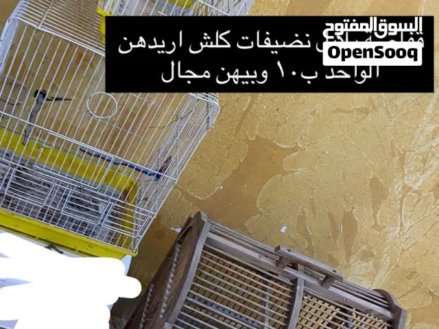 قفاص بلابل مستعملات الواحد على عشره الالف