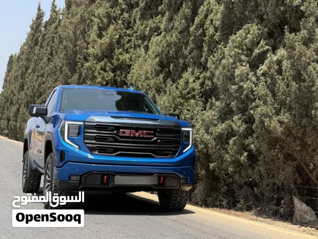 2022 GMC Sierra AT4