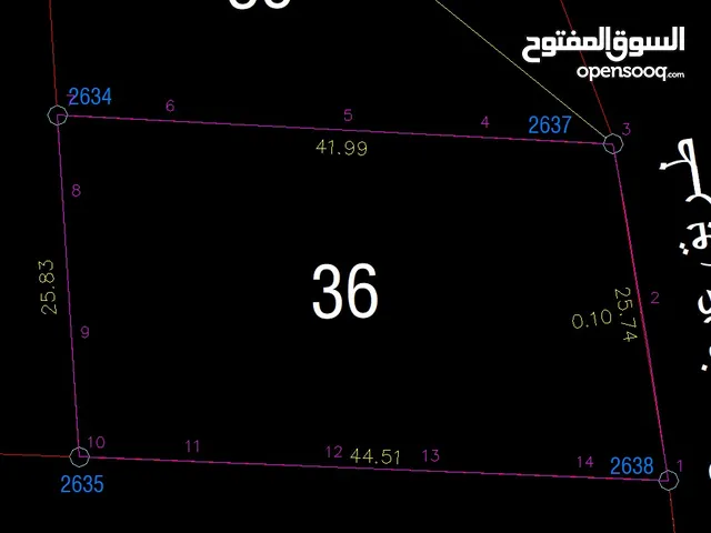 1101 متر واد البندوق / البصاصيل