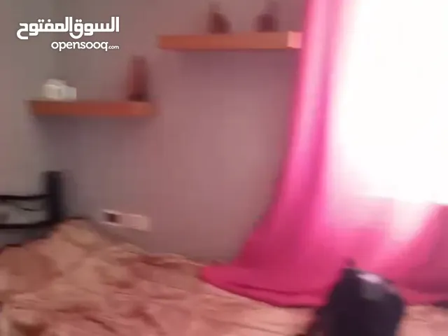 Furnished Monthly in Ramallah and Al-Bireh Other