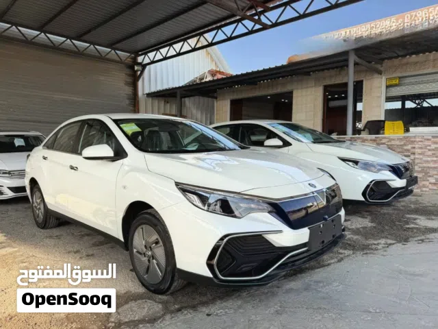 2023, Dongfeng, D60, Standard