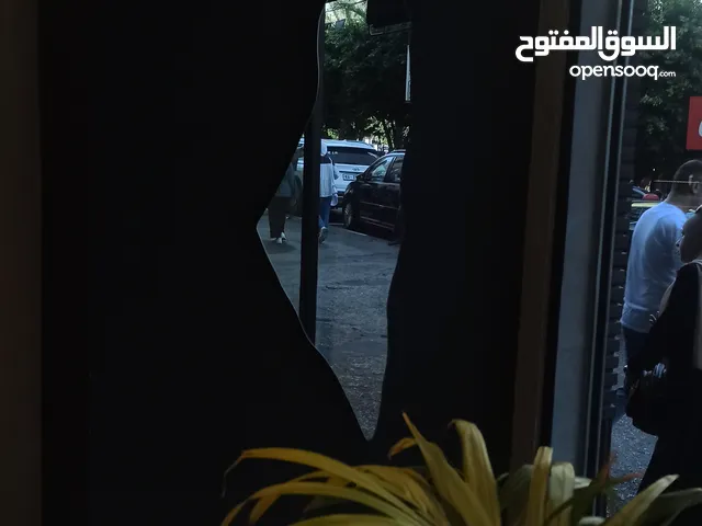 أمل حسان