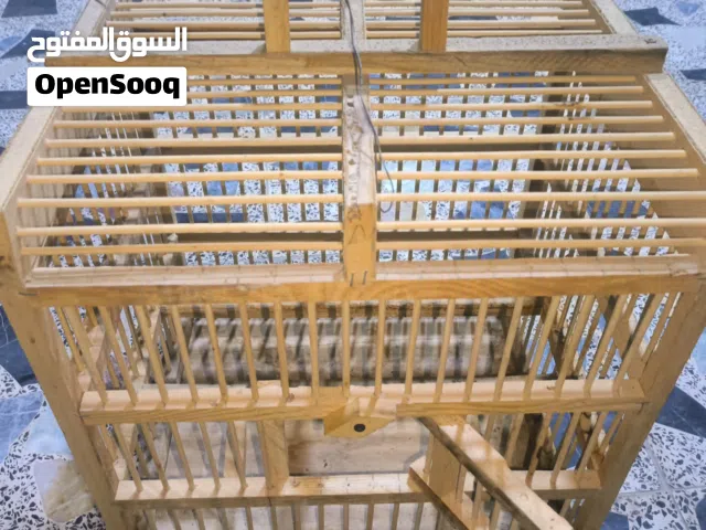 قفص خشبي للطيور والبلابل نضيف وقوي سعر 14الف