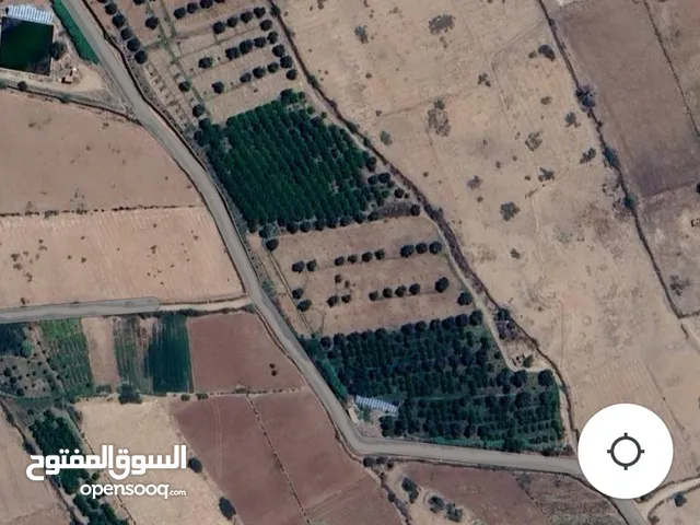 Farm Land for Sale in Marrakesh Route sidi rahal