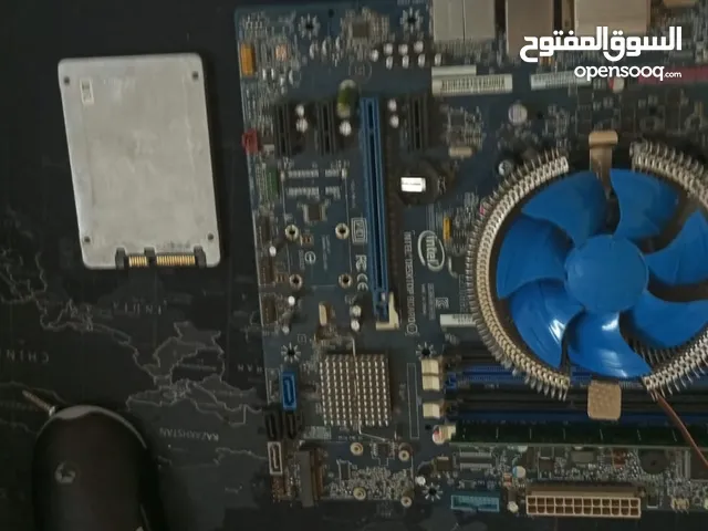 بورد + معالج