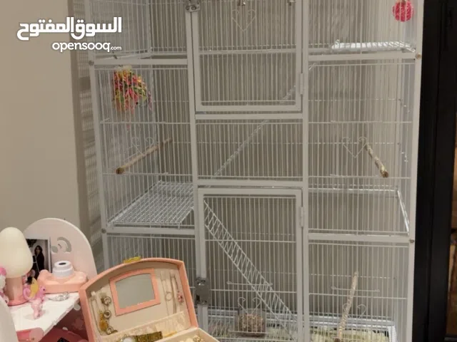 قفص نظيف للبيع