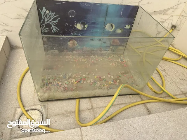 حوض اسماك موضح في الصورة الشكل