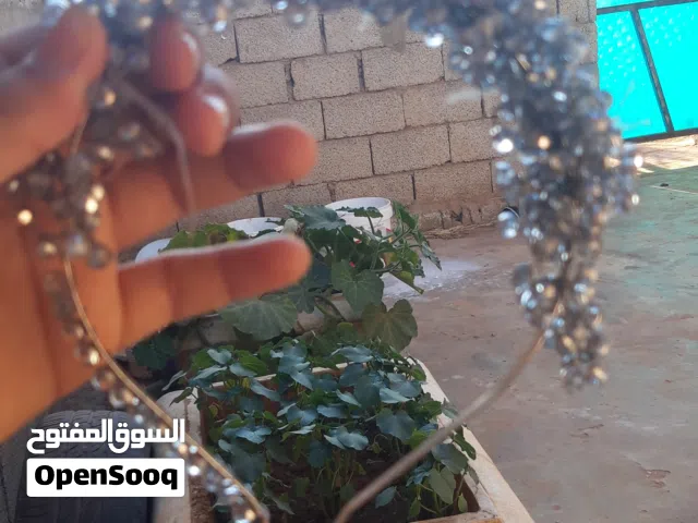 اكسسوارات شعر اكسسوارات