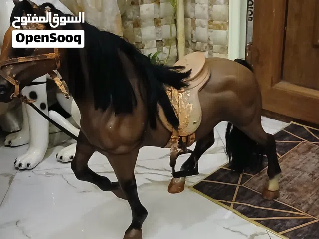 فرس من الفايبر ارتفاع 50 سم وعرض 50