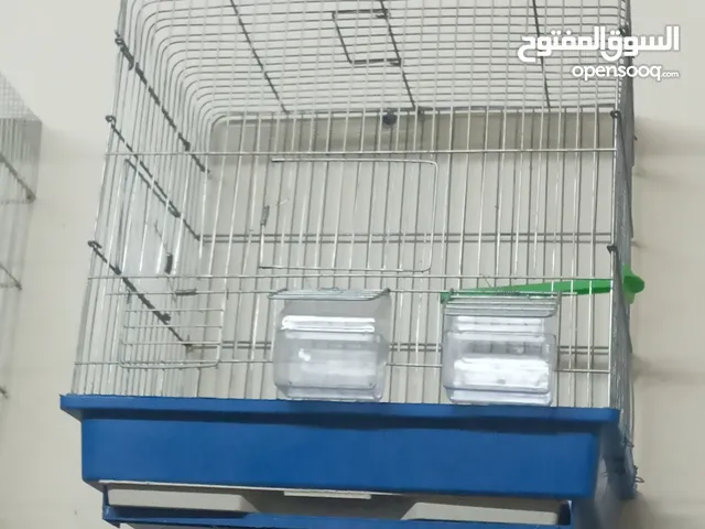 اقفاص للبيع بالكوم