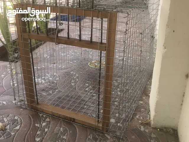 مصائد للطيور والحيوانات