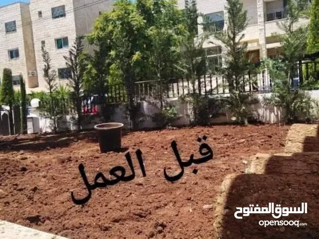 نجيل طبيعي امريكي M5