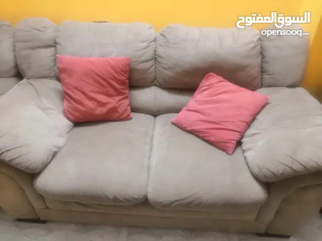 كنب الدب الأمريكي بسعر 100