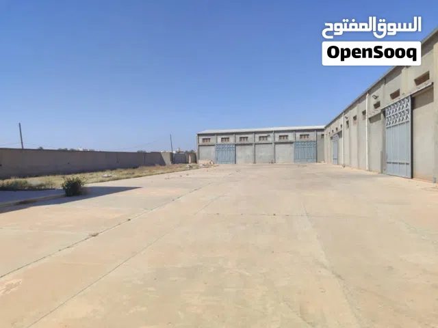 موقع هناقر سقف سندوتش للايجار في الكريمية نهاية شارع الشارقة النجيلة