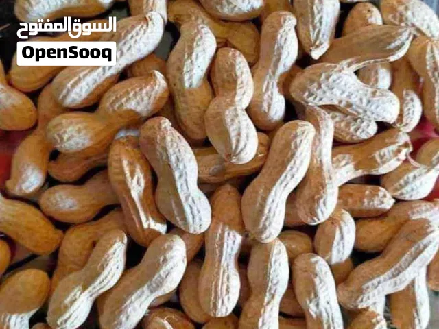 للبيع فول سوداني بلدي مفروز بالقرن علاجي ممتاز بيشرب نيلي مسكر ماشاء الله