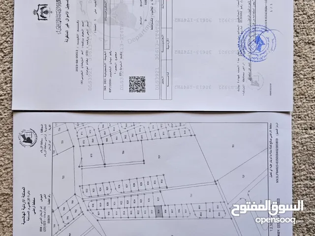قطعة ارض للبيع في مدينه الزرقاء منطقة أبو زيغان