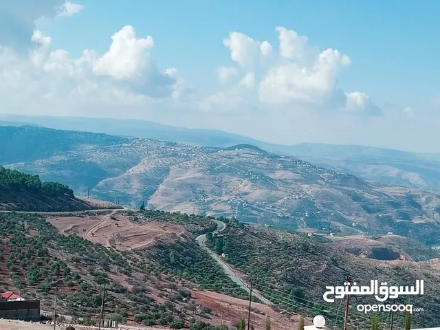 Mixed Use Land for Sale in Jerash Unaybah