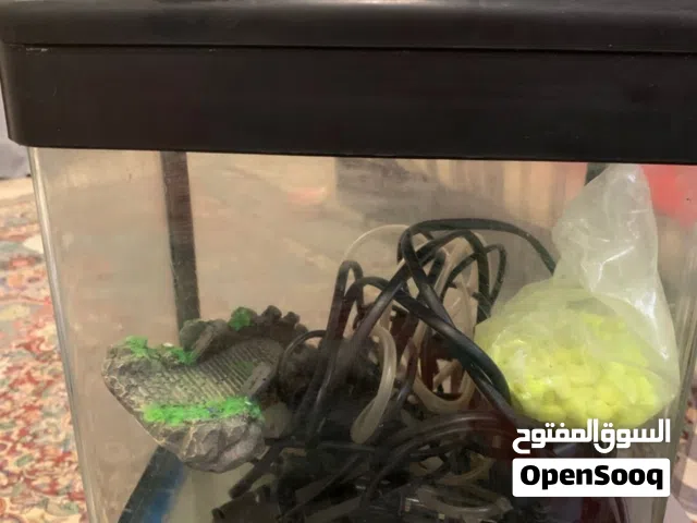 Fish tank(small)