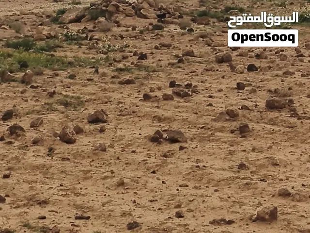 Farm Land for Sale in Mafraq Al-Badiah Ash-Shamaliyah