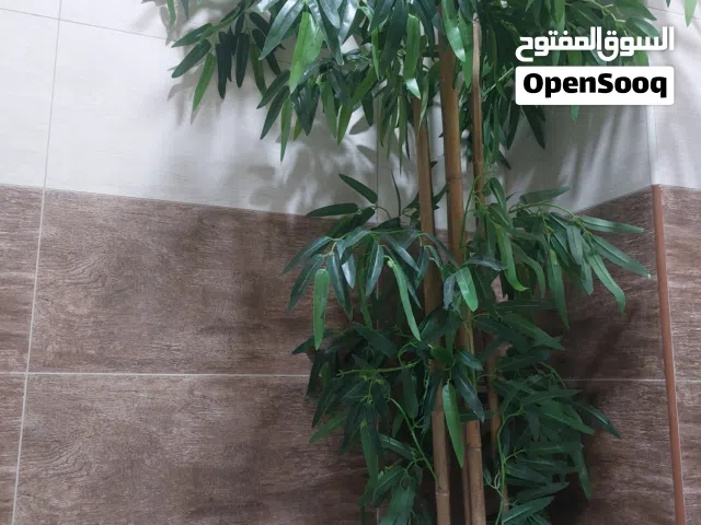 ديكور وزينة شجرة البامبو طولها من 150الى 180سم