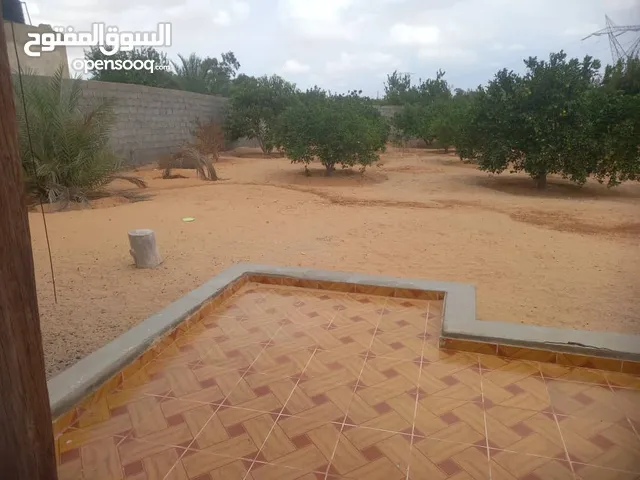 Mixed Use Land for Sale in Tripoli Wadi Al-Rabi