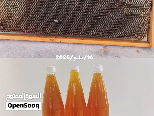 عسل نحل عماني تربية جبلي