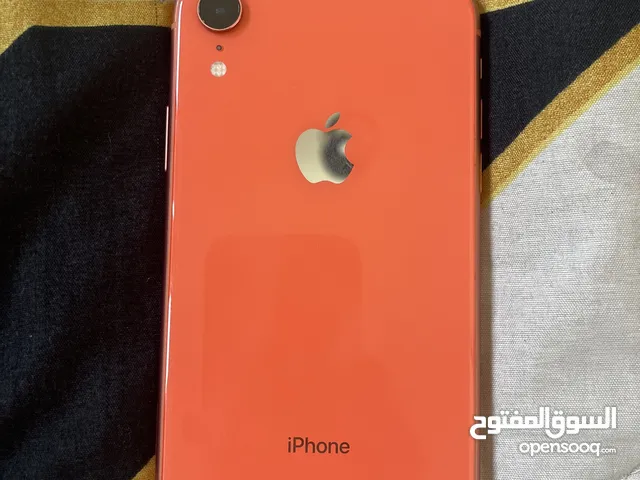 Apple iPhone XR 64 GB in Amman