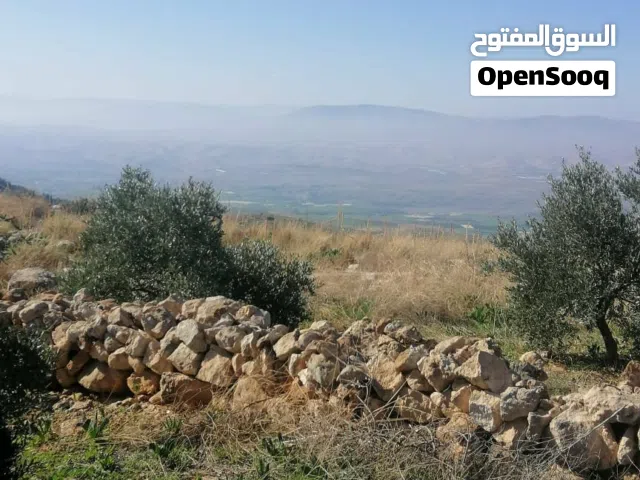 Mixed Use Land for Sale in Ajloun Other