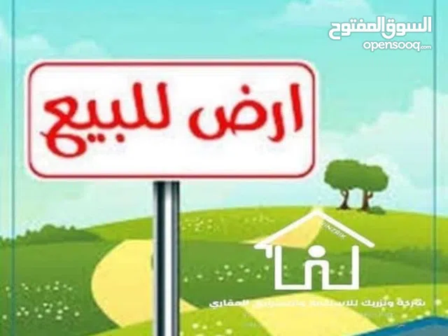 أرض النوفليين