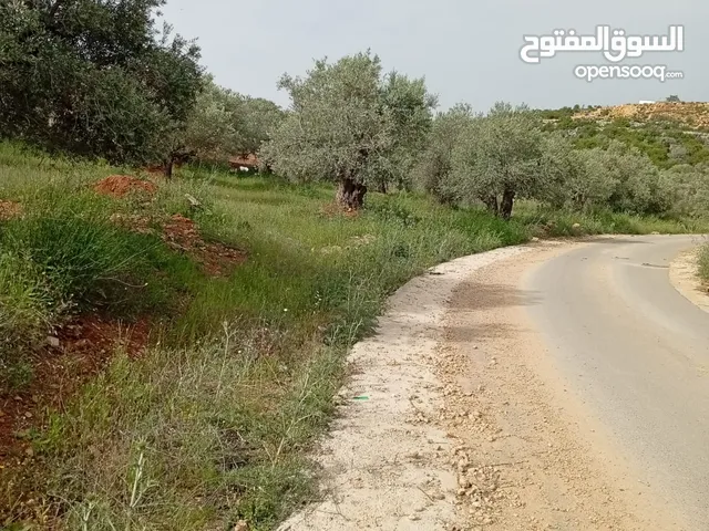 ارض منبسطه فل زتون رومي واصلها جميع الخدمات تصلح لبناء فيله او لعزبه. لقطه .....