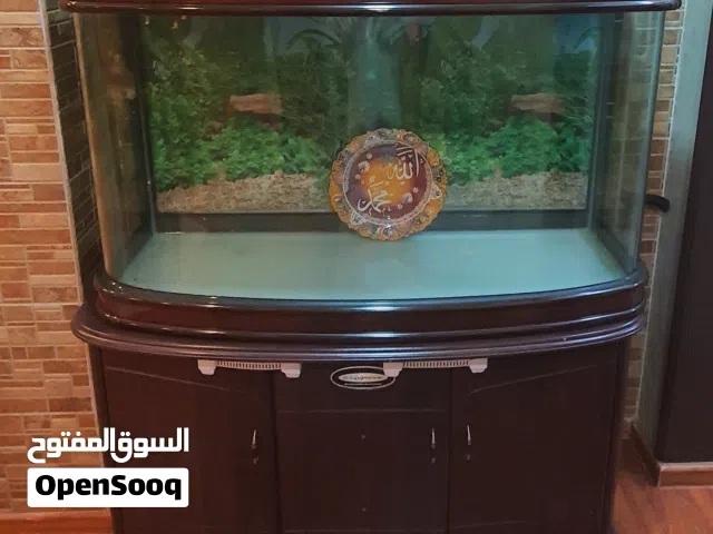 FISH TANK FOR SALE