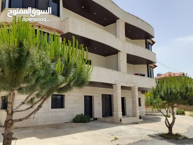 165 m2 2 Bedrooms Apartments for Rent in Aley Saoufar