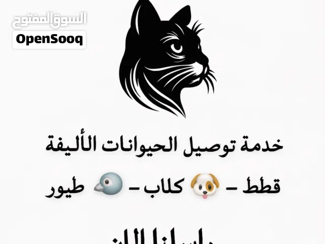 توصيل حيوانات اليفة