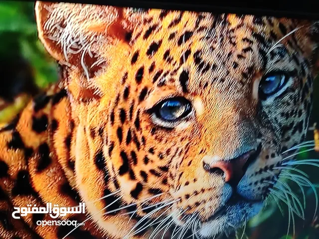 Gazal Smart 65 inch TV in Zarqa