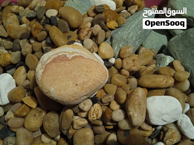 أحجار رخامية للحديقة والزينة PEBBLE GARDEN STONE